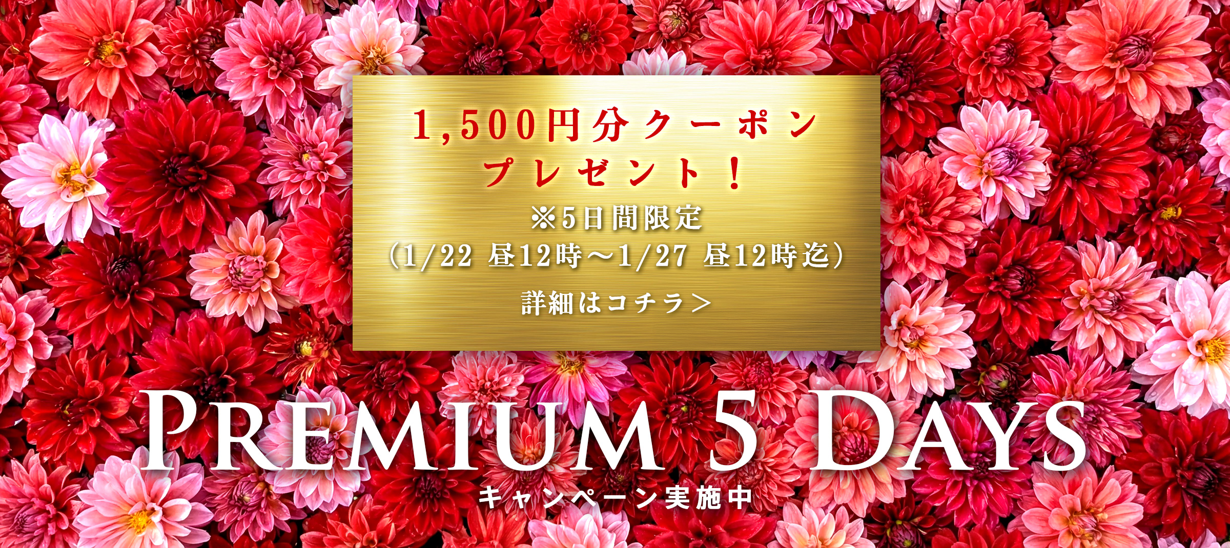 プレミアムウィーク