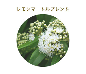 レモンマートル